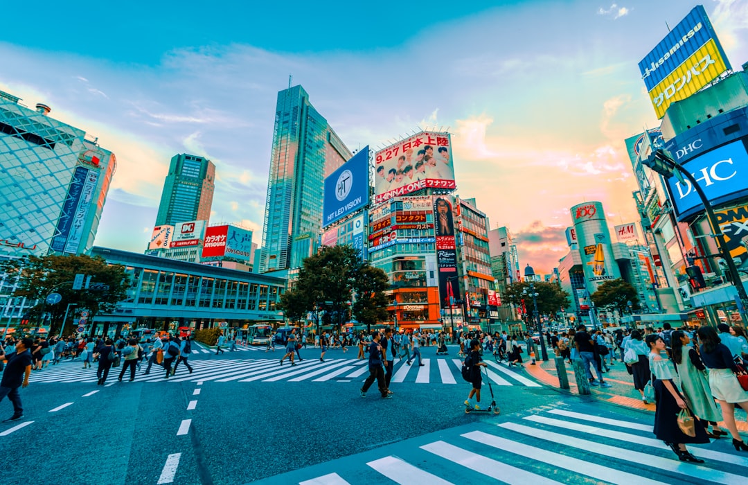 Support for entering the Japanese market